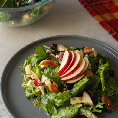 51 - Apple_Cranberry_Feta_Fall_Salad_@the.taste.of.mtl_Cover